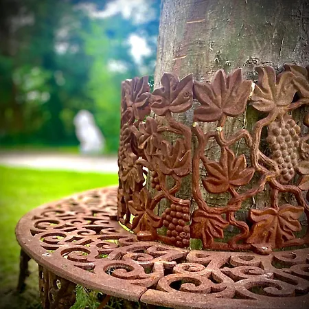 Domaine Du Bal וילה טוקה